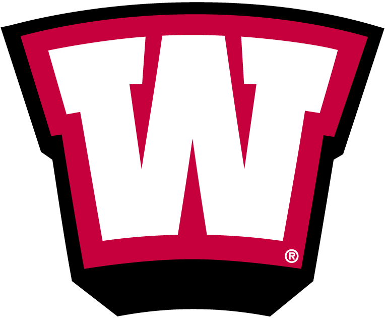 Western Kentucky Hilltoppers 1999-Pres Alternate Logo v3 iron on transfers for T-shirts